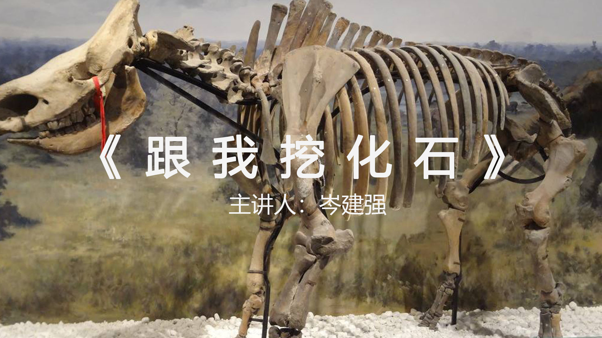 《跟我挖化石》
